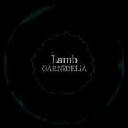 Garnidelia Lamb