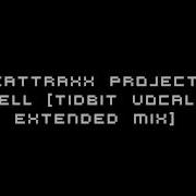Beattraax Project Well Tidbit Vocal Extended Mix