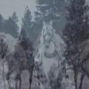 Три Белых Коня Элизиум