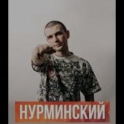 Литвиненко И Нурминский