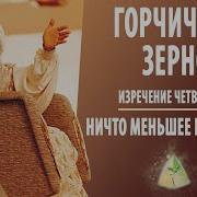 Ошо Горчичное