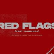 Red Flags Seanyy Barmuda