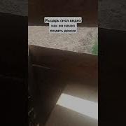 Гномы И Рыцари Музыка