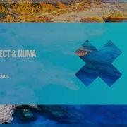 Guava Project Numa Signs