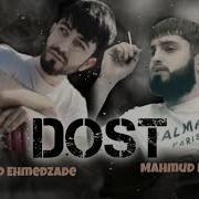 Dost Mahmud