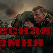 Аудиокниги Контрразведка Вов