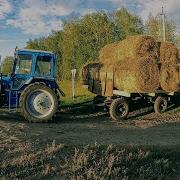 Возят Сено