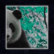 Chinese Type Beat Panda