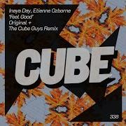 Inaya Day Etienne Ozborne Feel Good The Cube Guys Remix Tech House