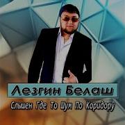 Слышу Где То Шум По Коридору