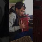 Циган Пает Ты Гармонь