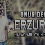 Onur Demli