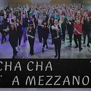 Un Cha Cha A Mezzanotte
