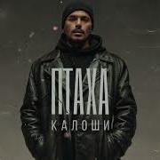 Калоши Птаха