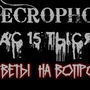 Страшные Истории Necrophos Ведьмина Застава Вместе С Sms