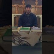 Тулки На Даргинском Языке