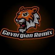 Gevorgian Remix 8800