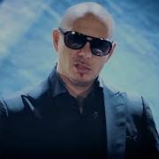 Pitbull International Love