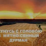Песня Про Брянскую Область