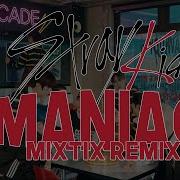 Stray Kids Maniac Remix