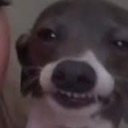 Как Звучит Ъуъ