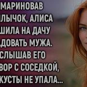 Замориновав Шашлычок Алиса