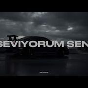 Seviorum Seni Remix