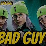 Bad Guy Harry Potter