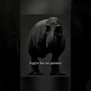 Клип Про Тираннозавр Рекс