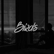 Birds Lyrics