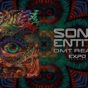 Sonic Entety Dmt Realm Original Mix