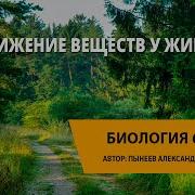 Передвижение Веществ У Животных