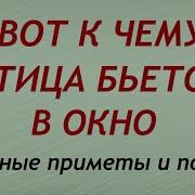 Утро Ранее Утро Солнечный Лучь Бьется В Окно