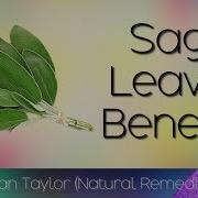 Sage