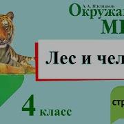 Окружающий Мир 4 Класс 1 Часть Лес И Человек