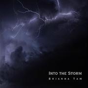 Into The Shtorm Brianna Tam