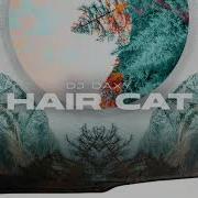 Dj Daxy Hair Cat