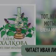 Тот Кто Ловит Мотыльков