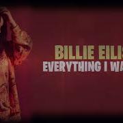 Billie Eilish Everything I Wanted Karaoke With Backing Vocals