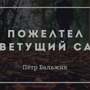 Пожелтел Цветущий Сад