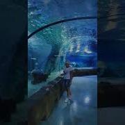 Стали Бабушки Сейчас Суперсовременные