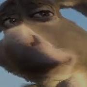 Are We There Yet Mrmrmangohead
