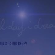 Guy Mantzur Tamir Regev Stargazer Original Mix