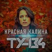 Группа Ту 134 Красная Калина
