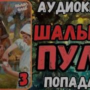 Шальная Пуля 3