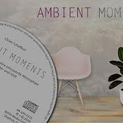 Musik Album Ambient Moments