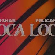 R3Hab Pelican Loca Loca Slowed