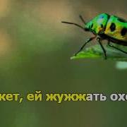 Жужжащая Песенка