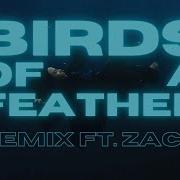 Billie Eilish Birds Of A Feather Remix