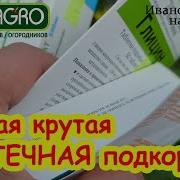 Проросток Русских Иван
